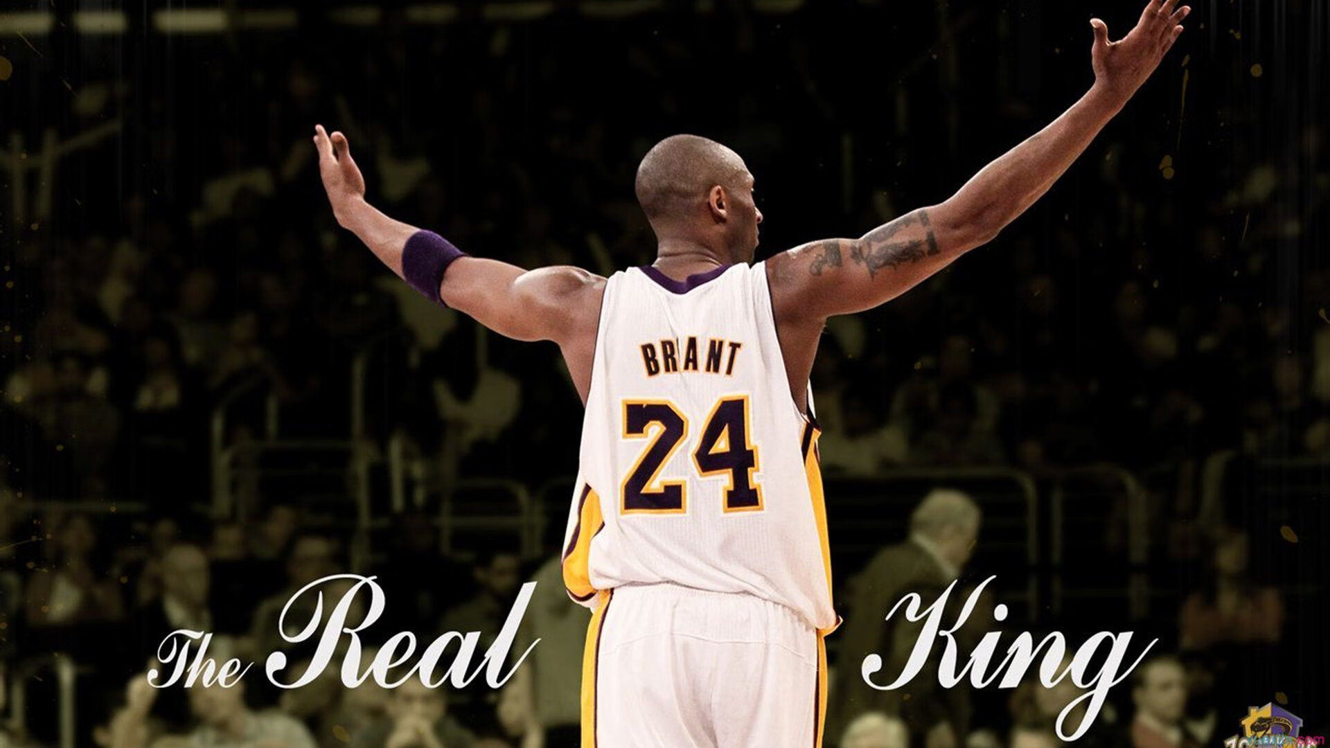 圭亚那体育广场升级改造完工，圭亚那酒店