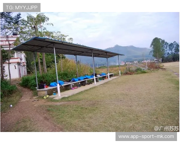 【场地环境影响】不同场馆如何影响比赛表现，场地环境对裁判员有什么影响