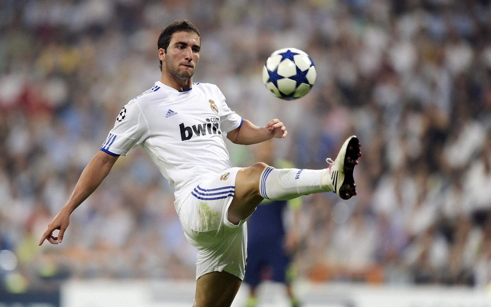 欧冠德甲双雄荣耀与失落 拜仁强势晋级 多特惨遭绝杀